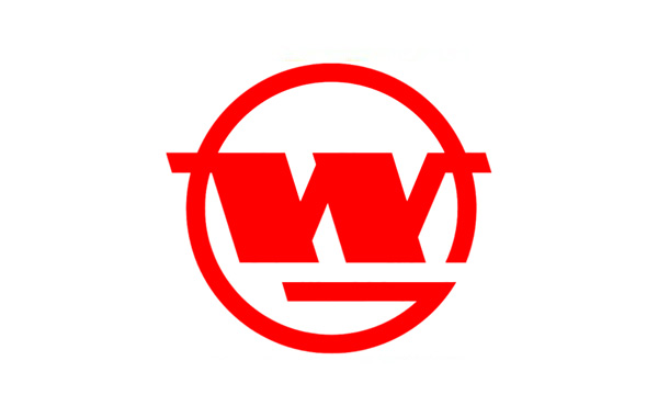 Wuhan Iron and Steel Company Limited